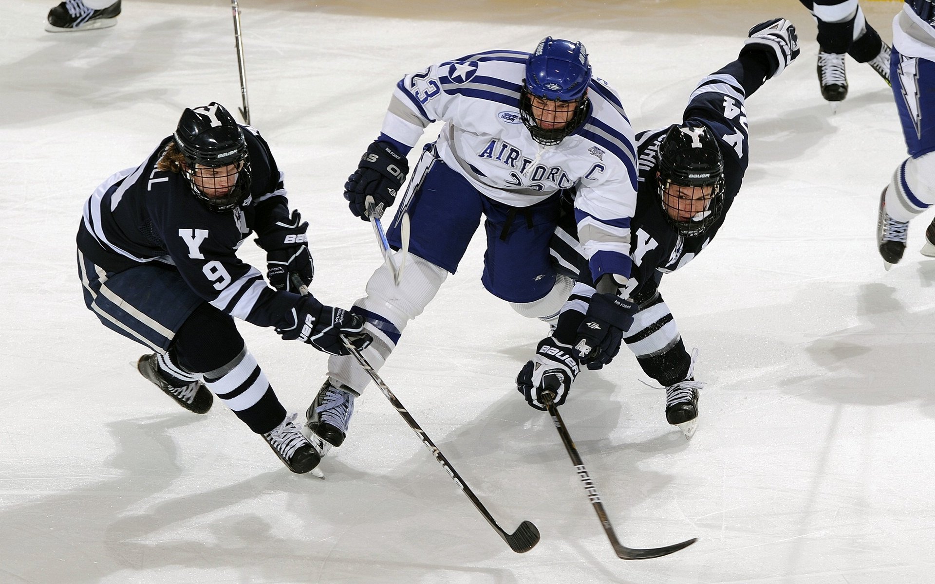 “荒漠之王：金色沙丘上的生死追逐”，沙漠金色是什么颜色