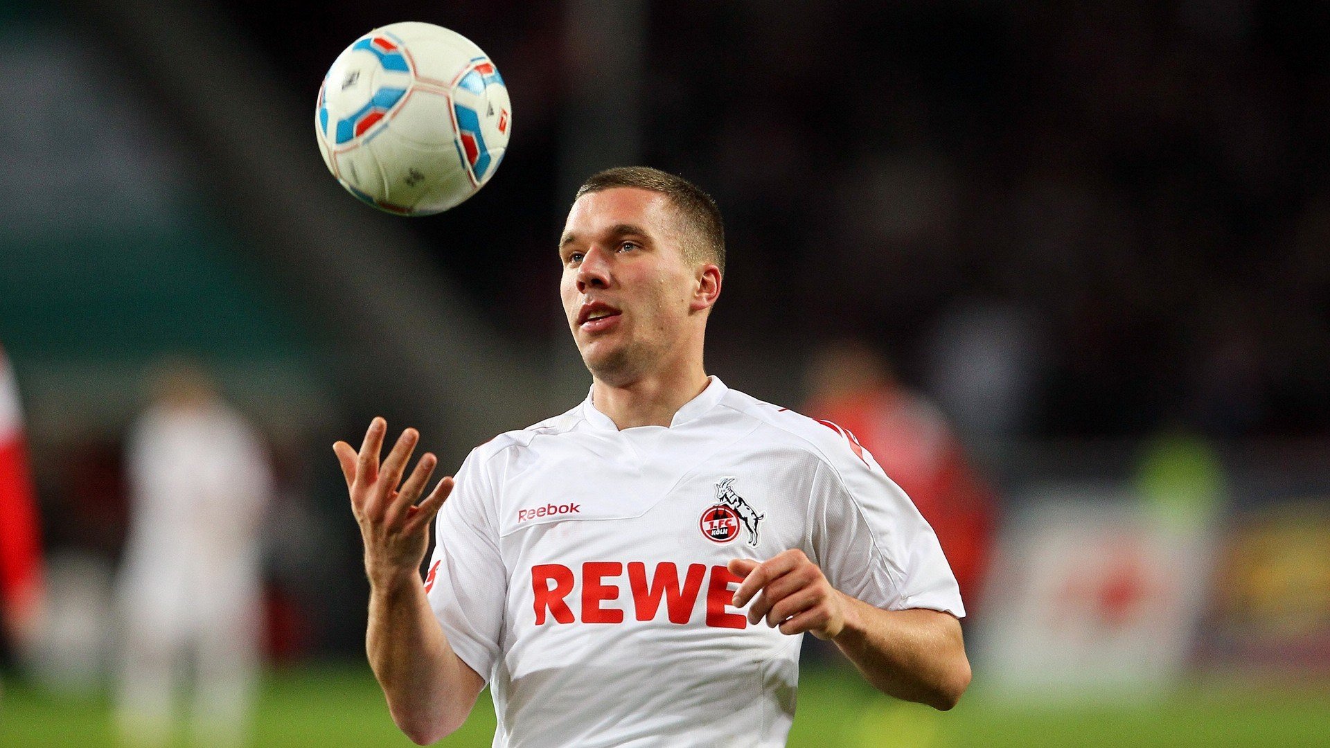 未来“欧洲天王”候选人：新星崭露头角全景分析，怎样自制泰迪犬狗粮